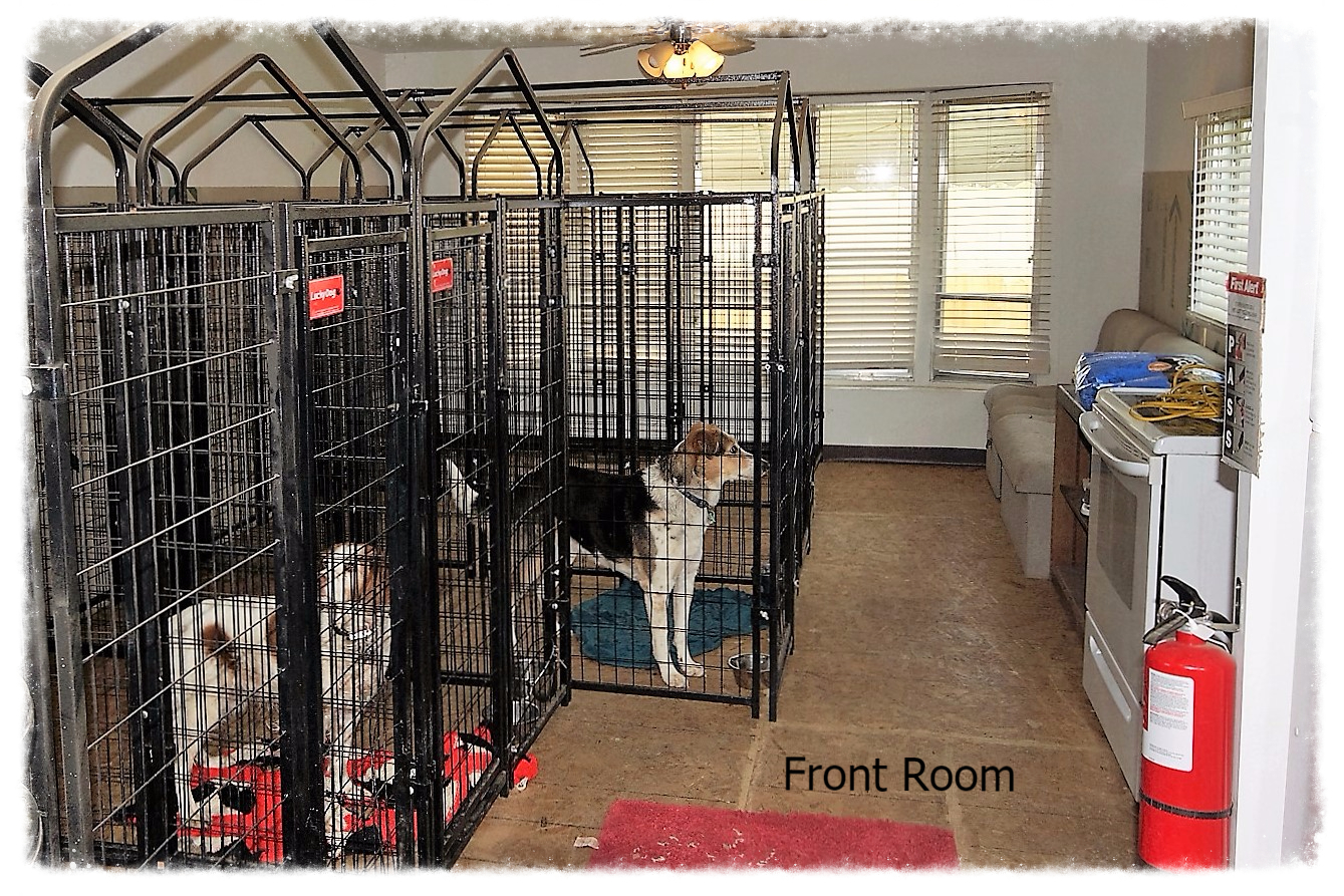How To Make A Dog Kennel More Comfortable